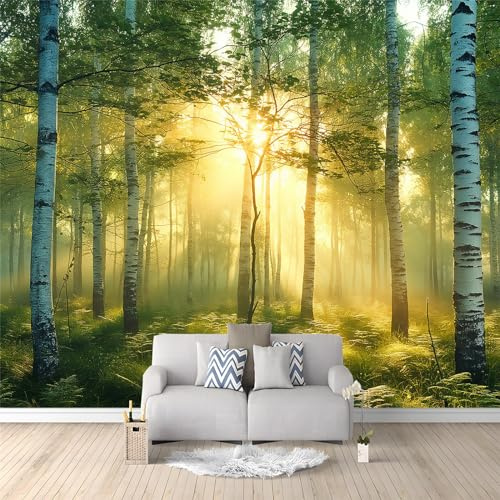 Fototapete 3D Effekt Wald Birkenwald Sonnenaufgang 200x140 cm Vliestapete Wohnzimmer Schlafzimmer Vlies Tapete Art Wandtapete UV-Beständig Wanddekoration Tapete