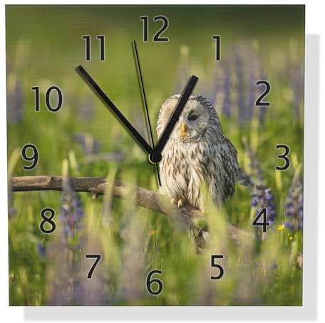 Wallario Design Wanduhr Kauz im Blütenmeer aus Aluverbund, Alu-Uhr Größe 30 x 30 cm, Schwarze Zeiger mit Metalloptik