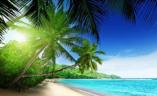 Forwall Fototapete Strand Meer Karibik Natur Insel Paradies Landschaft Wohnzimmer Schlafzimmer Vlies Tapete Wandtapete UV-Beständig Montagefertig (736, V8 (368x254 cm) 4 Bahnen)