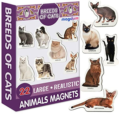 magdum Dekorative Magnete Katzen - 22 GROßE Kühlschrank Magnete - Magnete kühlschrank - Magnete Kinder - Magnetspiel - Magnete Tiere - Katze Spielzeug Kinder - Katzenspielzeug - Katzenmotiv Artikel