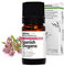 Aroma Labs - Tomillo Andaluz - Aceite Esencial Orgánico - Quimiotipado y Certificado AB - 5 mL