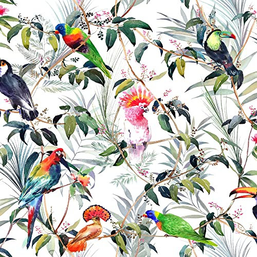 Transform Peel & Stick Tropical Floral & Parrot Multicoloured Self-Adhesive Wallpaper