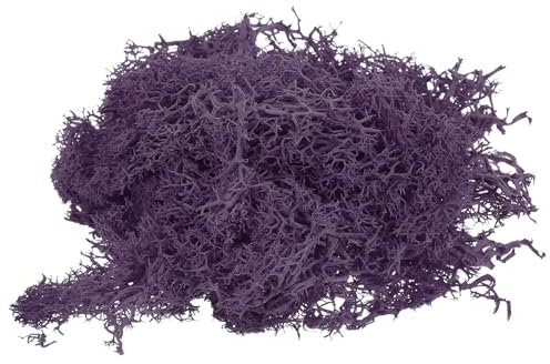 Sourcing Map Mousse - 10 g - Fausse mousse naturelle préservée pour loisirs créatifs, floral, mariage, jardin, terrasse, table, terrarium, décoration (violet foncé)
