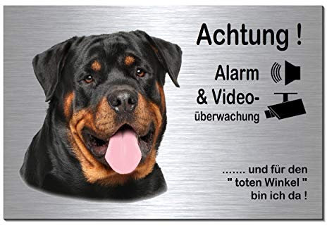 Rottweiler-Alarm + Videoüberwachung-Hund-Schild-Hundeschild-300 x 200 x 3 mm-Aluminium Edelstahloptik-Hunde-Tierschild-Warnschild-Hinweisschild (133-21 mit Löcher)