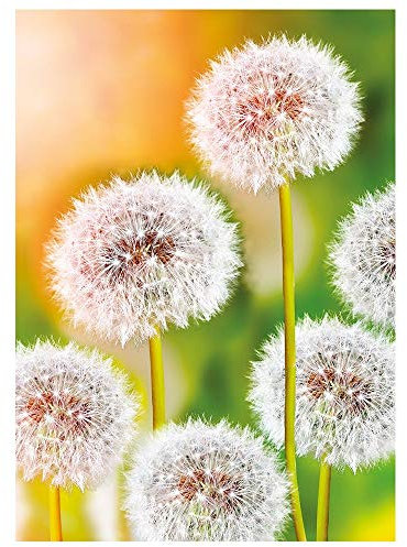 Ideen mit Herz 5D Diamond Painting | Diamant Painting Set | Motiv: 35 x 25 cm | Leinwand: 30 x 40 cm | runde Steinchen | inkl. Zubehör | Verschiedene Bilder zur Auswahl (Pusteblumen)