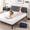 ZINUS Avery 25 cm Plattformbettrahmen mit verstellbarem Kopfteil | Gepolstertes verstellbares mit individuell anpassbarer Höhe | Holzlattenrost | Einfache Montage | 140 x 200 cm | Dunkelgrau