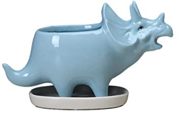 Pots de fleurs, support de planteur de dinosaure de casseroles succulentes avec plate