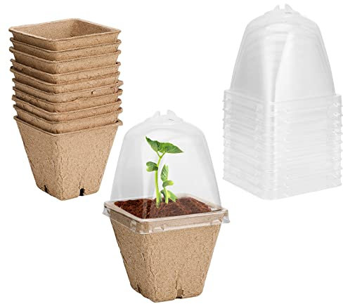 PAOORTS 10 pcs Plant Nursery Pots, Bioodegradable Planter Pots With Humidity Dome, Clear Nursery Plastic Plant Pots for Transplanting Plant SucculentsSeedlings(6cm Square)