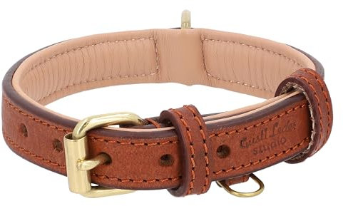Gusti Hundehalsband Leder - Jacky Lederhalsband Hund Haustier Vierbeiner Größe L braun Leder