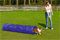 Beeztees Agility Tunnel Tasche - Hundespielzeug - 198x40x40 cm