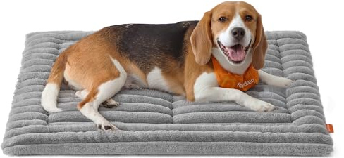Feandrea Hundedecke für Hunde, Katzen, L, 90 x 65 cm, maschinenwaschbar | Haustierdecke für Hundesofa, Hundesofa-Schutzdecke, Schiefergrau, BADDI Kollektion PPB043GD01