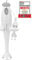 Bomann SM 354 CB Batidora de Mano, 180 W, 0.5 litros, Acero Inoxidable, Blanco