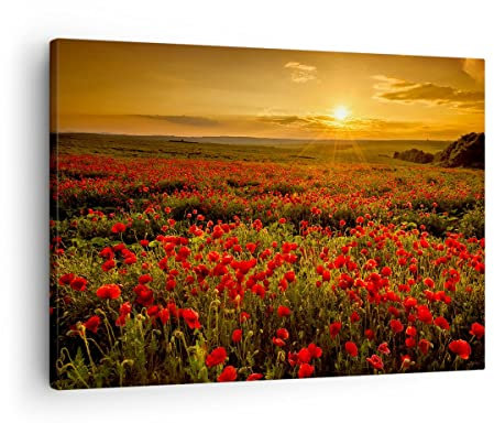 Bilder auf Leinwand Mohn Blume Wiese Leinwandbild mit Rahmen 70x50cm Wandbilder Dekoration Wohnzimmer Schlafzimmer Küche Deko Klein Wanddeko Bild Wand Kunstdruck Art Wall Decor Canvas AA70x50-3643