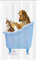 ABAKUHAUS Tiere Schmaler Duschvorhang, Hund und Katze Badewanne Foto, Badezimmer Deko Set aus Stoff mit Haken, 120 x 180 cm, Mehrfarbig