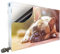 Smagnon Magnet Heizkörperverkleidung Heizkörperabdeckung Heizung Schutz Motiv Mops, Heizkörper Höhe:60 cm, Heizkörper Länge:60 cm