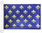 AZ FLAG - Drapeau Fleur de Lys Bleu et Or - 45x30 cm - Pavillon Nautique Royal Français Spécial Bateau Et Extérieur En Maille Bloquée Avec Anneaux Plastiques Intégrés - 30g
