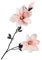 Silk-ka Kunstblume-Seide Magnolienzweig Rosa-Weiß 86 cm