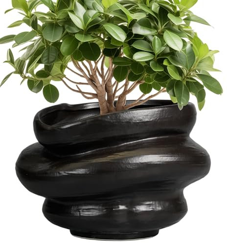 Teagas Macetas de cerámica para Plantas de 10.6 Pulgadas, macetas de bonsái para Plantas de Interior con Agujero de Drenaje, Maceta Decorativa para Exteriores, Regalo para Hombres y Mujeres, Color