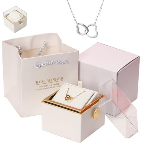 Xifyjus Boîte À Roses Éternelles avec Collier Gravé Et Vraie Rose, Coffret Cadeau Rotatif avec Collier en Forme De Cœur Personnalisé for Sa Femme, Épouse, Petite Amie, for Un Anniversaire(Silver,A)