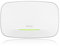 Zyxel BE6500 WiFi 7 Access Point a Doppia Radio | Antenna Ottimizzata | Gestibile Tramite Nebula Web/App, Controller On-Premises o Interfaccia Locale del Dispositivo [WBE510D]