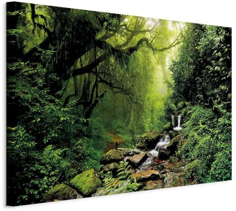 B&D XXL - Grand Tableau Mural Décoration Moderne Salon, Nature, 120x80 cm | Clous Inclus, Impression sur Toile, Tableaux, Posters et Arts Décoratifs, Gris, Arbres Forêt l'eau Cascade Vert