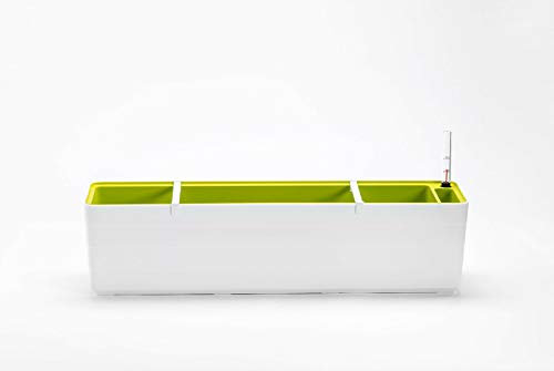 Berberis Jardinera con sistema de riego automático, 60 cm y 80 cm (blanco - verde, 60)
