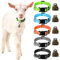 GINDOOR Reflektierende Ziegenhalsbänder mit Glocken, Kuh, Pferd, Schaf, Weide, Kupfer, Glöckchen und verstellbares Nylon-Halsband-Set, Anti-Verlust, Ziege, Zubehör