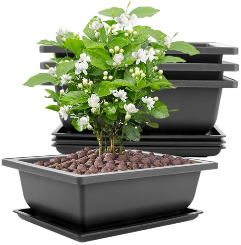 LDHHYH 8 Stück Bonsai Schale Groß, 23x17x8cm Bonsaischale mit Tabletts, Kunststoff Bonsai Schale,Bonsais Töpfe Geeignet für Gärten Innenhöfe Büros Wohnzimmer Balkone (Schwarz)