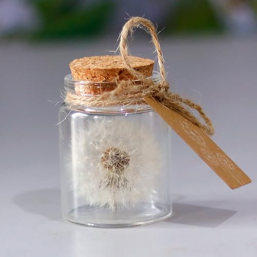 Shirene Echter Löwenzahn im Glas, Wunscherfüller - Echte Pusteblume im Glas - Handgemacht als Glücksbringer, Dankeschön, Geschenk, Aufmunterung - Geschenke für Frauen, Freundin, Geburtstag, für Mama