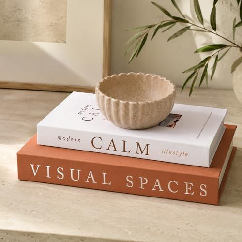 Cenjeery Deko Bücher 2er Set für Wohnkultur – Minimalistische Bücherboxen