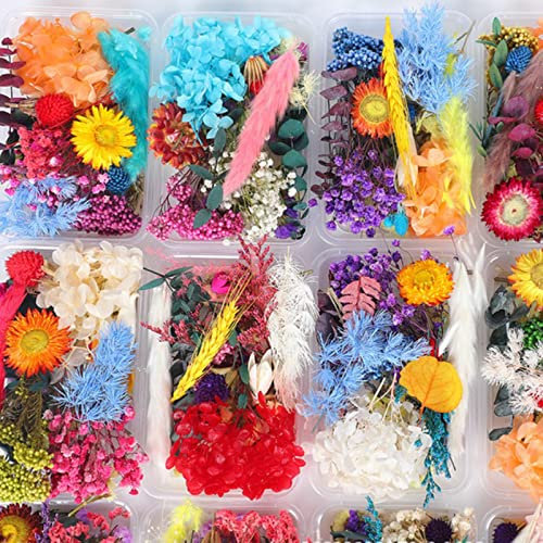 2 Boxen Getrocknete Blumen Echt, Trockenblumen Set, Getrocknete Gepresste Blumen, Blumen Natürliche Gemischte, Getrocknete Blätter Pflanzen Herbarium, Blätter Blüten für Scrapbooking, DIY, Schmuck