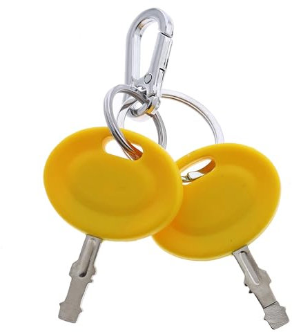 MACHSWON 2 chiavi di accensione 625-05000 625-05002 925-2054A adatte per tosaerba Cub Cadet XT1 XT2 ZT1 LT LTX Troy Bilt tosaerba MTD Craftsman