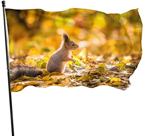Dekorative Hausflagge, Hof-Banner, Wald, kleine Nagetiere, Eichhörnchen, Druck, alle Jahreszeiten, Urlaub, Willkommenshof, Flagge, Rasen, hängende Dekoration, 90 x 150 cm