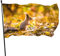 Dekorative Hausflagge, Hof-Banner, Wald, kleine Nagetiere, Eichhörnchen, Druck, alle Jahreszeiten, Urlaub, Willkommenshof, Flagge, Rasen, hängende Dekoration, 90 x 150 cm