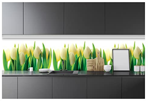 Fototapete Küche Tulpen Blumen - 250x60 cm Einteilig Premium Küchenrückwand - Inklusive Kleister Modern Küchentapete Fototapeten Vlies Tapete UV-Beständig Montagefertig