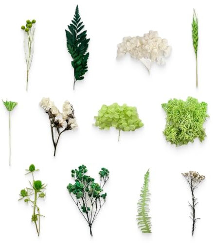 KSJEHW Flores secas Naturales Decorar Flores secas Decoracion jarrones Ramos de Flores secas Flores preservadas Naturales Bouquet Flores Artificiales Centro de Flores secas(verdes)