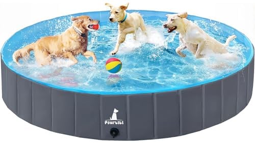 Pourbibi Hundepool fur Große Hunde, Faltbare Schwimmbecken Hund Planschbecken Dog Pool, Tragbar PVC Hundebadewanne Hundeschwimmbad für Große Kleine Hunde, 160 x 30 cm