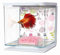 Hagen Marina Betta Aquarium-Starter-Set, Flora