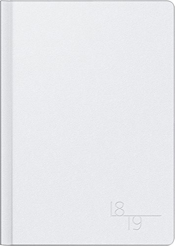 Brunnen 1072982179 Schülerkalender Silver, 2018/2019