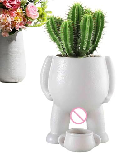 Gomice ur de Pipi drôle, Pot Succulent drôle - Pot de décoratif de Vase Pipi,Nouveauté en céramique avec Trous de Drainage pour s succulentes, Fleurs, s d'intérieur, Jardin extérieur