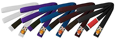 Ju-Sports Brazilian Jiu-Jitsu Gürtel - weiß, Baumwolle I Kampfsport Gürtel Für BJJ I Mehrfach gesteppt I Ca. 4,5 cm breiter Martial Arts Gürtel I A1