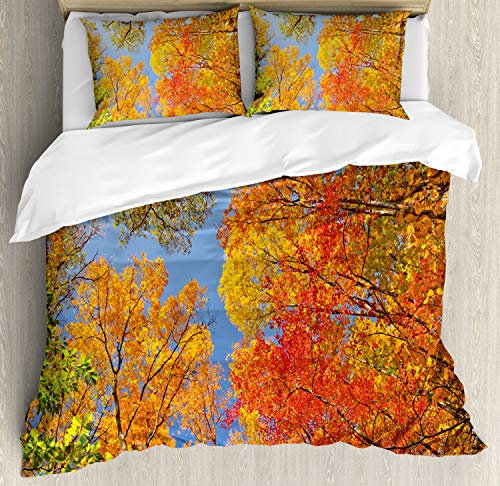 ABAKUHAUS Fallen Bettbezug Set King Size, Wald im Herbst, Top Qualität Weich und Warm 3 Teiligen Bettbezug mit 2 Kissenbezüge, Orange Grün