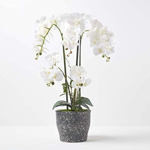 Homescapes extra große Kunstorchidee im Topf, hochwertige künstliche Orchidee mit weißen Blüten, XXL-Deko-Orchidee Phalaenopsis im dunklen Keramiktopf, dekorative Kunstblume, 82 cm hoch