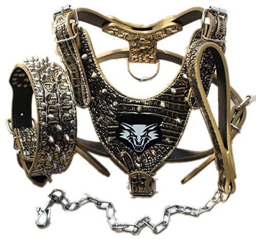 haoyueer Hundegeschirr aus Leder, Halsband und Leine, mit Nieten, 3-teiliges Set für mittelgroße und große Hunde z. B. Pitbull, Mastiff, Boxer, Bullterrier, 3er-Set, Größe M, goldenbraun