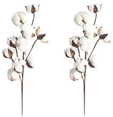 Alecony Baumwolle Zweig Getrocknet Deko, Natürlich Getrocknete Blumen Kunstblumen Künstliche Dekoblumen Trockenblumen 50cm, Blumenstrauß Deko für Vase Schlafzimmer Wohnzimmer Tischdeko Hochzeit (F)