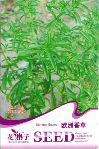 50 semillas ajedrea buen gusto y ornamental hermoso jardín D034