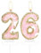 Schmetterling 26 Geburtstag Zahl 26 Kerzen, Rosa Gold Kerzen Kuchen Cupcake Topper für Kuchen Mädchen 26 Geburtstag Kuchen Dekorationen Schmetterling 26 Geburtstag Kerze Kuchen Topper für