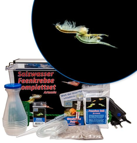 AQ4Aquaristik Premium Salzwasser Feenkrebse Artemia Komplettset 6 Liter: Zuchtansatz, Premiumsalz, Futter, Anleitung- Urzeitkrebse, Artemia franciscana