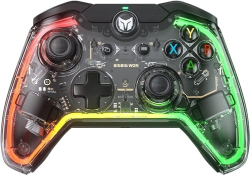 BIGBIG WON PC Controller, Rainbow Lite Kabelgebundene Gaming-Controller für PC RGB-Licht, Benutzerdefinierte Tasten, Makro, Turbo, Dual-Shock-Controller für Switch/Win10&11
