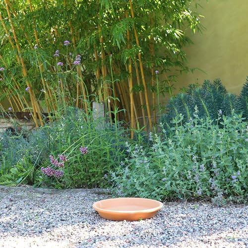 Palatina Keramik Soucoupe ronde en terre cuite de qualité supérieure 30, 35 et 40 cm, soucoupe parfaite pour pots de fleurs, pots de fleurs (25 cm)
